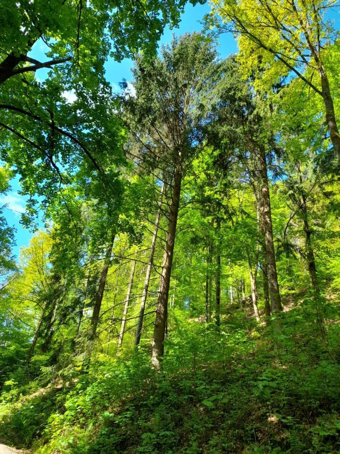 Ferienwohnung Am Enzufer Mit Balkon In Bad Wildbad Im Schwarzwald Kültér fotó