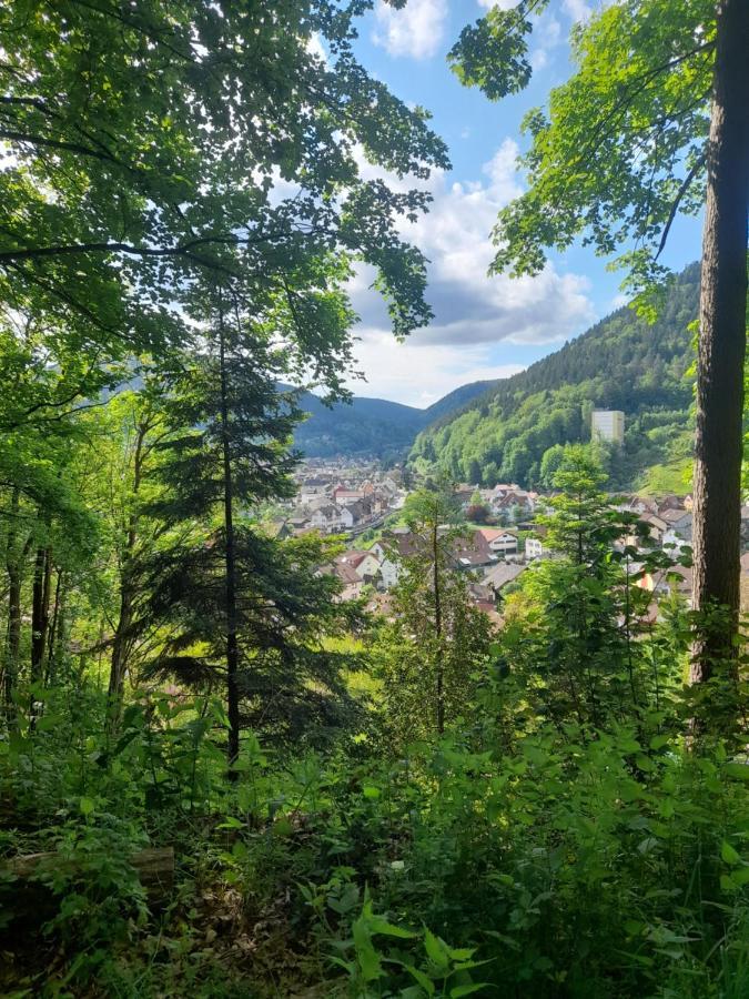 Ferienwohnung Am Enzufer Mit Balkon In Bad Wildbad Im Schwarzwald Kültér fotó